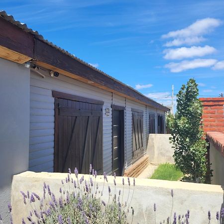 Cabanas "El Ancla" Puerto San Julián Zewnętrze zdjęcie